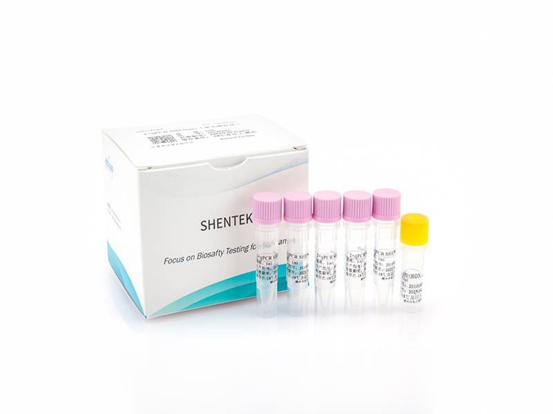 2×qPCR SHENmix（熒光探針?lè)ǎ? />
                                    <div   id=